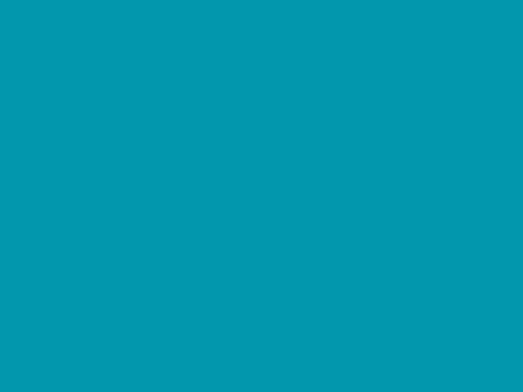 VINIL 750-715 REAL TEAL